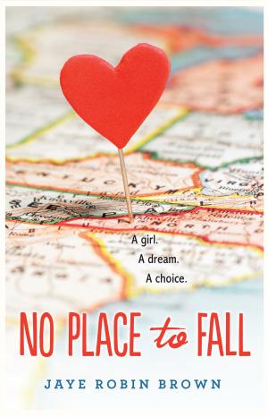 Book cover of No Place to Fall