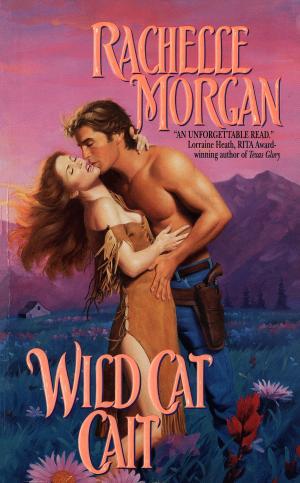 Cover of the book Wild Cat Cait by Rachelle Morgan
