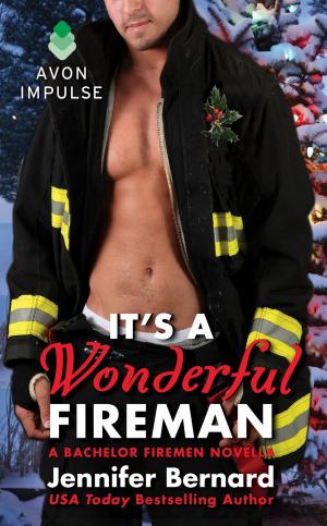 Cover of the book It's a Wonderful Fireman by Kim Vopni, Jenn Di Spirito