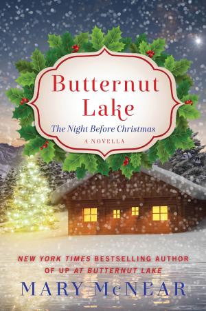 Cover of the book Butternut Lake: The Night Before Christmas by Barbara Delinsky