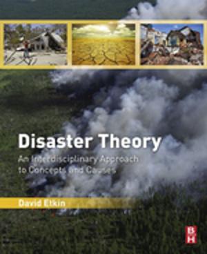 Cover of the book Disaster Theory by Angelo Basile, Alberto Figoli, Mohamed Khayet