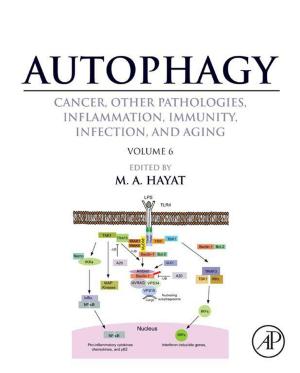 Cover of the book Autophagy: Cancer, Other Pathologies, Inflammation, Immunity, Infection, and Aging by Lucien F. Montaggioni, Colin J.R. Braithwaite