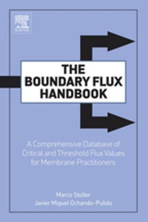 Cover of the book The Boundary Flux Handbook by Margareta Nelke, Charlotte Håkansson