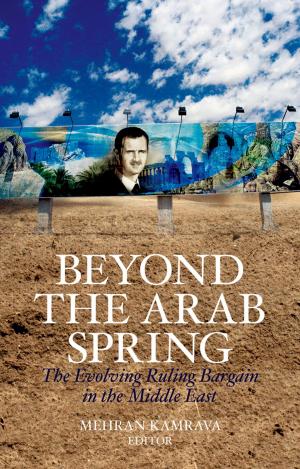 Cover of the book Beyond the Arab Spring by 