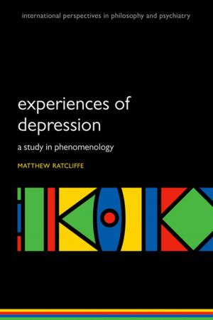 Cover of the book Experiences of Depression by Kris McDaniel