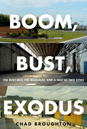 Cover of the book Boom, Bust, Exodus by Jack A. Goldstone