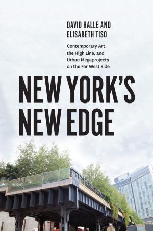 Cover of the book New York's New Edge by Brigitte L. Nacos, Yaeli Bloch-Elkon, Robert Y. Shapiro