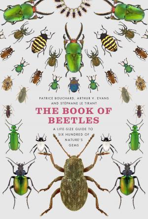 Cover of the book The Book of Beetles by Kenneth Hart Green