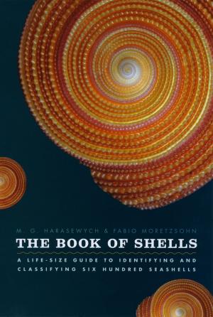 Cover of the book The Book of Shells by Eric L. Santner