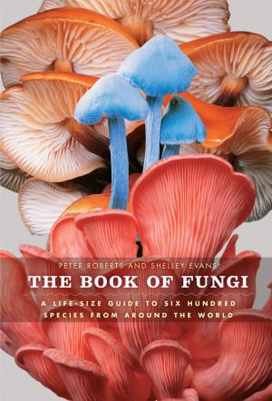 Cover of the book The Book of Fungi by David P. Currie
