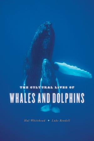 Cover of the book The Cultural Lives of Whales and Dolphins by Alpa Shah