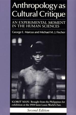 Book cover of Anthropology as Cultural Critique
