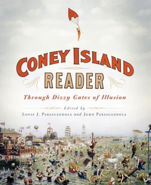 bigCover of the book A Coney Island Reader by 
