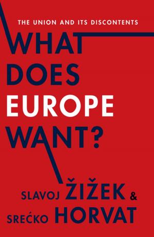 Cover of the book What Does Europe Want? by Lillian Faderman