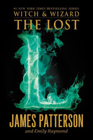 Cover of the book The Lost by Denise Mina