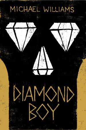 Cover of the book Diamond Boy by Mark Cotta Vaz