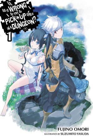 Cover of the book Is It Wrong to Try to Pick Up Girls in a Dungeon?, Vol. 1 (light novel) by Takahiro, Tetsuya Tashiro