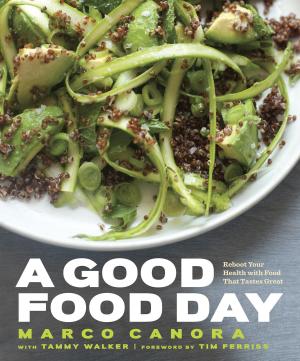 Cover of the book A Good Food Day by Sophie Dahl
