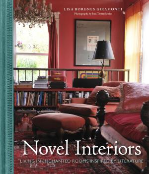 Cover of Novel Interiors