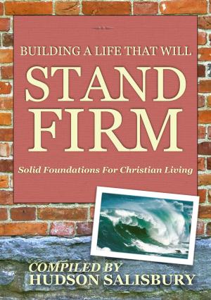 Cover of the book Building a Life That Will Stand Firm by Jack Exum