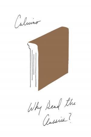 Book cover of Why Read the Classics?