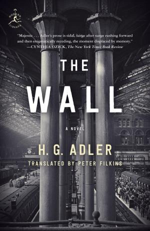 Cover of the book The Wall by Steve Karmazenuk