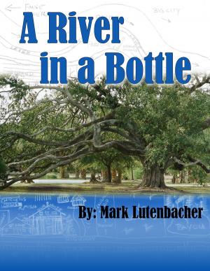 Cover of the book A River in a Bottle by Shelley Gilbert