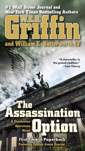 Book cover of The Assassination Option