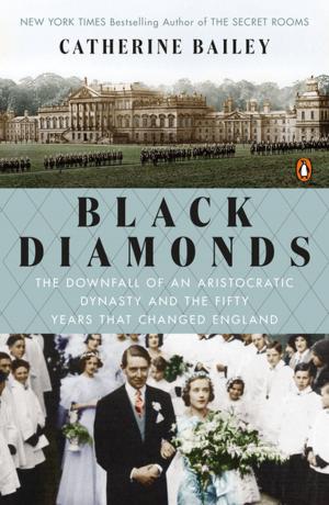 Cover of the book Black Diamonds by Meg Rosoff
