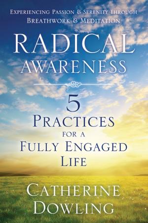 Cover of the book Radical Awareness by Melissa Alvarez