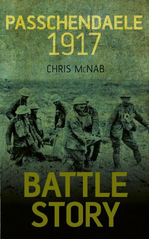 Book cover of Passchendaele 1917