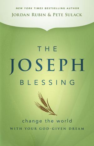 Cover of the book The Joseph Blessing by Kris Vallotton