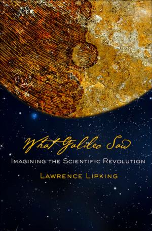 Cover of the book What Galileo Saw by John McGowan