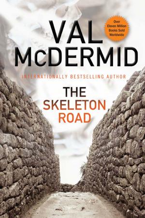 Book cover of The Skeleton Road