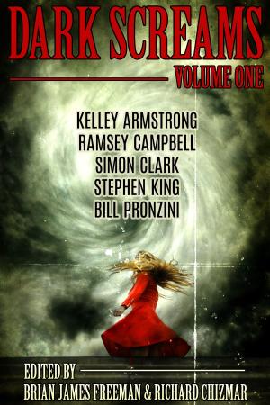 Cover of the book Dark Screams: Volume One by Peter Bailey