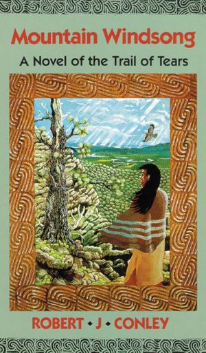 Cover of the book Mountain Windsong by Mark M. Hull, Vera Moynes