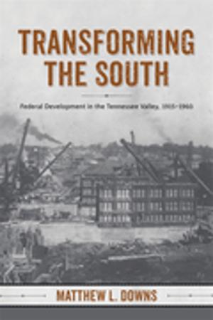 Cover of the book Transforming the South by LeeAnn G. Reynolds