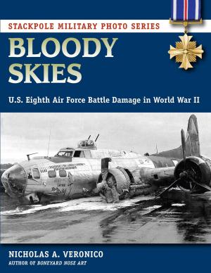 Book cover of Bloody Skies