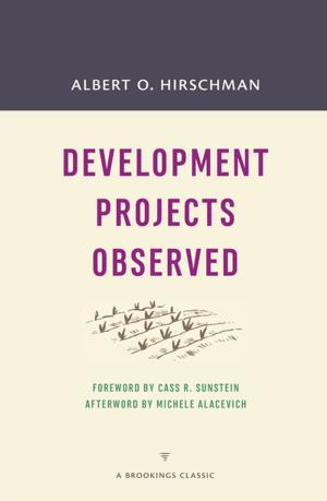 Cover of the book Development Projects Observed by William J. Congdon, Jeffrey R. Kling, Sendhil Mullainathan