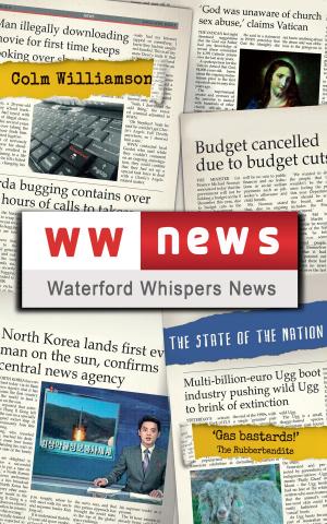 Cover of the book Waterford Whispers News: The State of the Nation by Leesa Harker
