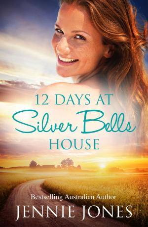 Cover of the book 12 Days At Silver Bells House by Lena Dowling
