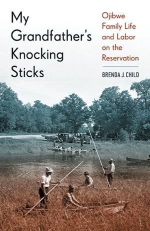 Cover of the book My Grandfather's Knocking Sticks by Tag Cavello