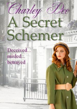 bigCover of the book A Secret Schemer by 