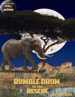 Cover of Rumble Drum to the Rescue