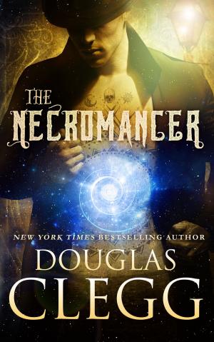 Book cover of The Necromancer