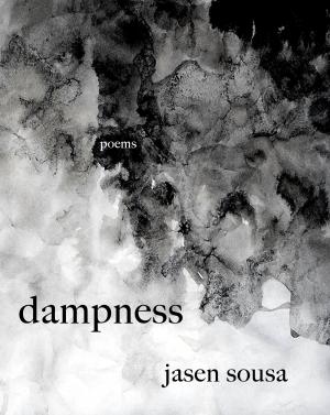bigCover of the book dampness by 