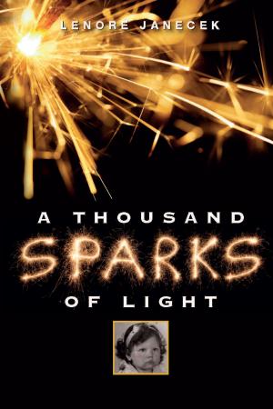 Cover of the book A Thousand Sparks of Light by Leandra O. Brady-Walker