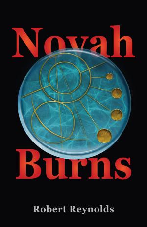 Cover of the book Novah Burns by 恩斯特．克萊恩(Ernest Cline)