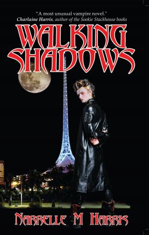 Cover of the book Walking Shadows by Lindy Cameron