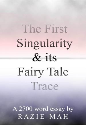Cover of the book The First Singularity and Its Fairy Tale Trace by J E Murphy